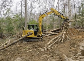 Land-Clearing1.jpg